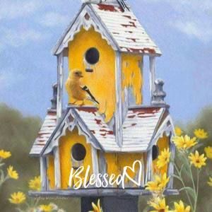 Meet your Posher, Joy